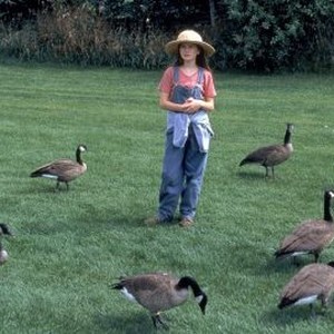 Fly Away Home (1996) photo 8
