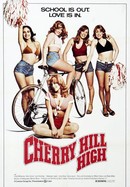 Cherry Hill High poster image