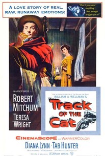 Poster for Track of the Cat