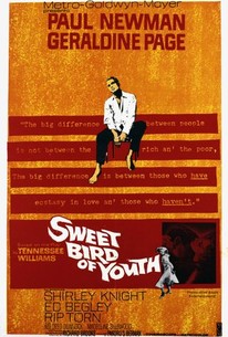 Poster for Sweet Bird of Youth