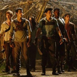 THE MAZE RUNNER, Thomas Brodie-Sangster (left), Kaya Scodelario (left of center), Dylan O'Brien (front left), Ki Hong Lee (front right), Alexander Flores (right), 2014. ph: Ben Rothstein/TM and ©Copyright 20th Century Fox Netherlands. All rights reserved.
