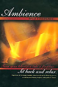 Ambience Dvd Fireplace 2006 Rotten Tomatoes