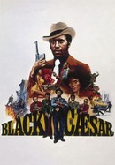 Black Caesar poster image