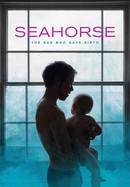 Seahorse: The Dad Who Gave Birth poster image