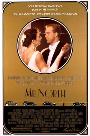 Mr. North poster