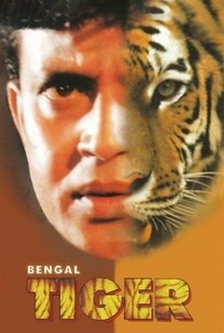 Bengal Tiger - Rotten Tomatoes