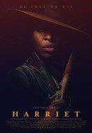 Harriet poster image