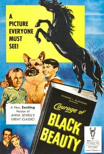 Poster for Courage of Black Beauty