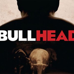 Bullhead photo 14