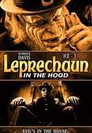 Leprechaun in the Hood poster image