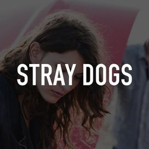 Stray Dogs photo 8