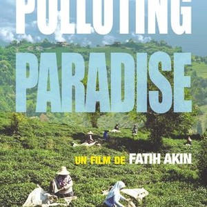 Polluting Paradise photo 13