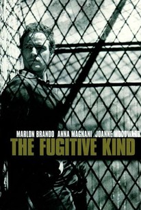 Watch trailer for The Fugitive Kind