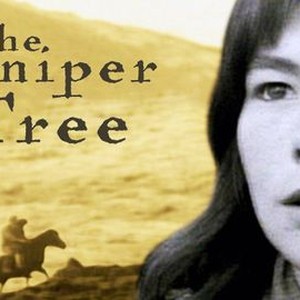 The Juniper Tree photo 17