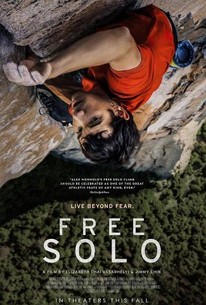 Image result for free solo