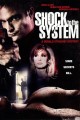 Shock to the System: A Donald Strachey Mystery