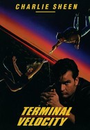 Terminal Velocity poster image