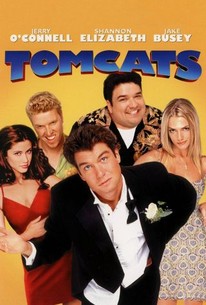 Tomcats poster