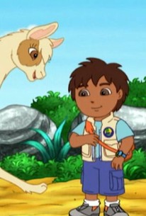 Go, Diego, Go!: Season 1, Episode 17 - Rotten Tomatoes