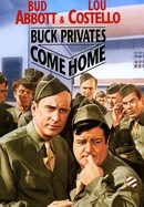 Buck Privates Come Home poster image
