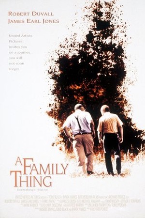 A Family Thing poster