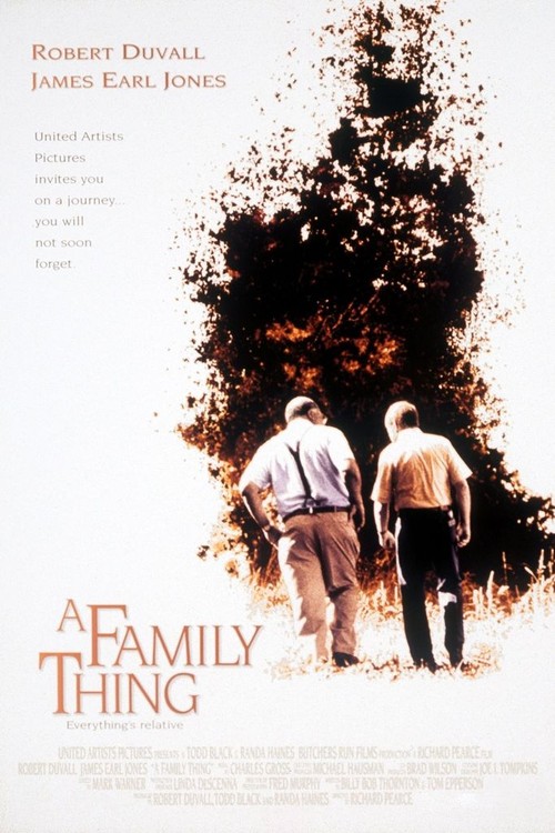 A Family Thing poster