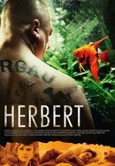 Herbert poster image