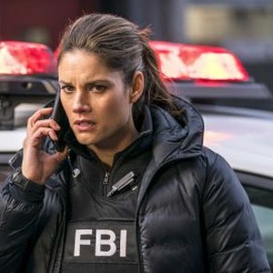 FBI: Season 1, Episode 13 - Rotten Tomatoes