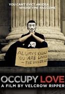 Occupy Love poster image