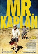 Mr. Kaplan poster image