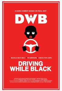Poster for Driving While Black