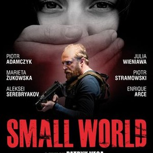 Small World Rotten Tomatoes