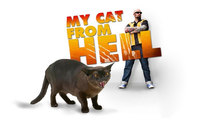 My cat from hell season sale 1 episode 4