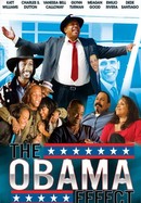 The Obama Effect poster image