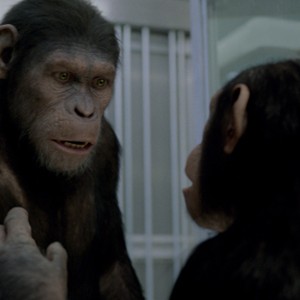 (L-R) Caesar and Cornelia in "Rise of the Planet of the Apes."