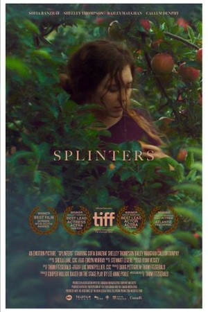 Splinters poster