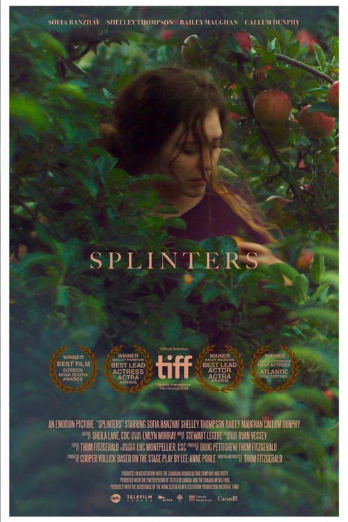 Splinters poster