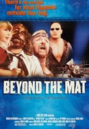 Beyond the Mat poster image