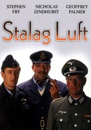 Stalag Luft poster image