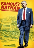 Famous Nathan poster image