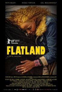 Poster for Flatland