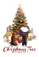 A Christmas Tree Miracle poster image