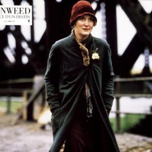 Meryl Streep - Rotten Tomatoes