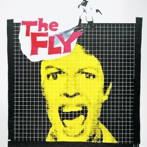 The Fly photo 12