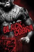 Poster for