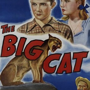 The Big Cat photo 8