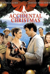 An Accidental Christmas | Rotten Tomatoes