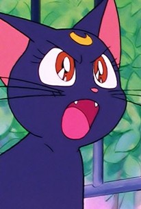 Sailor Moon SuperS: Season 1, Episode 16 | Rotten Tomatoes