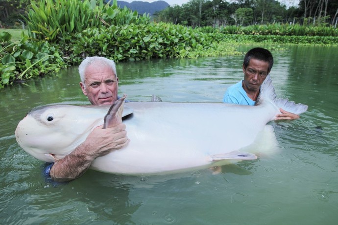 Jeremy Wade Pictures | Rotten Tomatoes