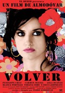 Volver poster image